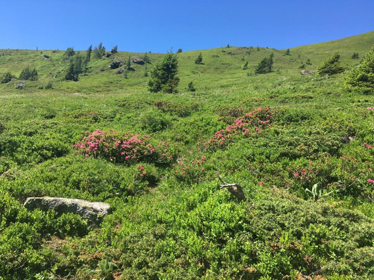 Almhuette Villa Lachtal Eksteriør billede